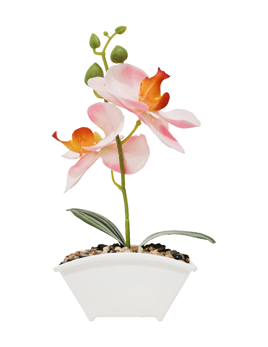 304001736087-galerias el triunfo