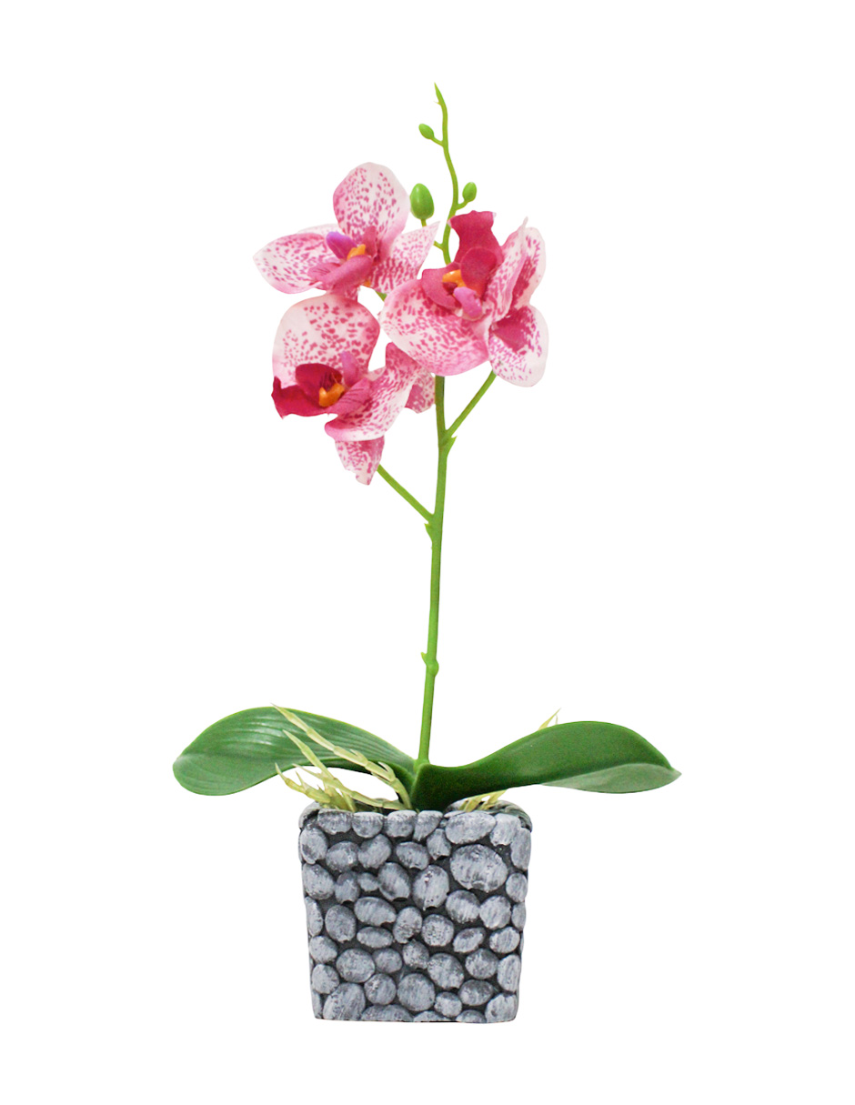 304001736088-galerias el triunfo