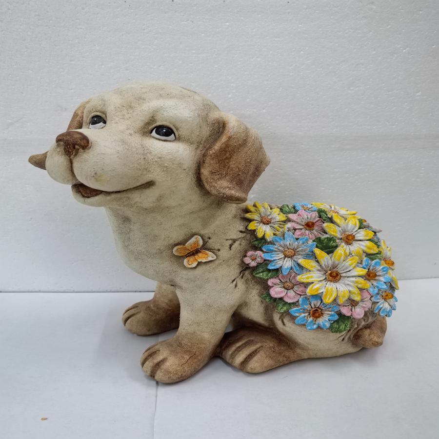 049072778895-galerias el triunfo