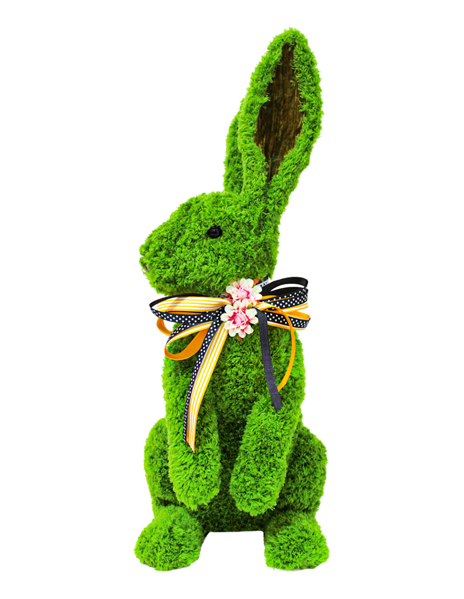 100307378719-galerias el triunfo