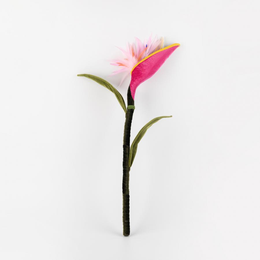 100307378951-galerias el triunfo