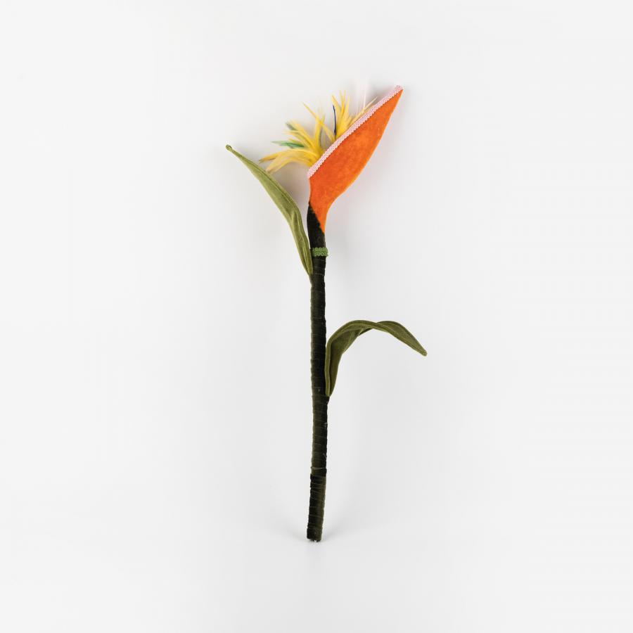 100307378952-galerias el triunfo