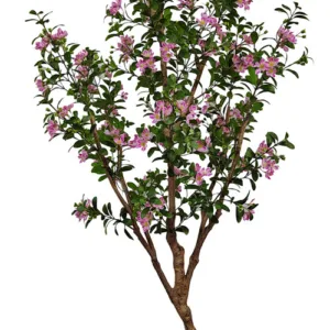 304001736380-galerias el triunfo