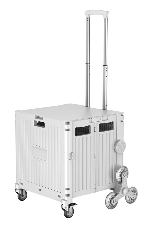 304001736886-galerias el triunfo