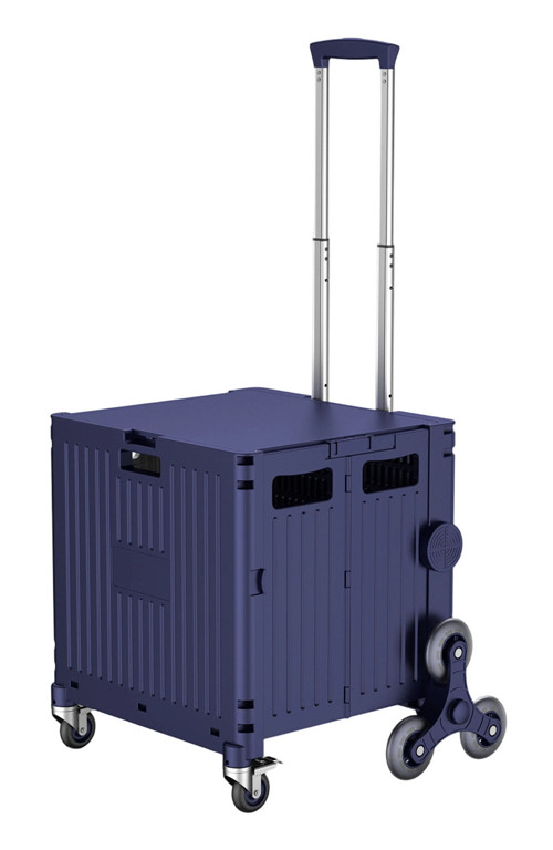 304001736888-galerias el triunfo