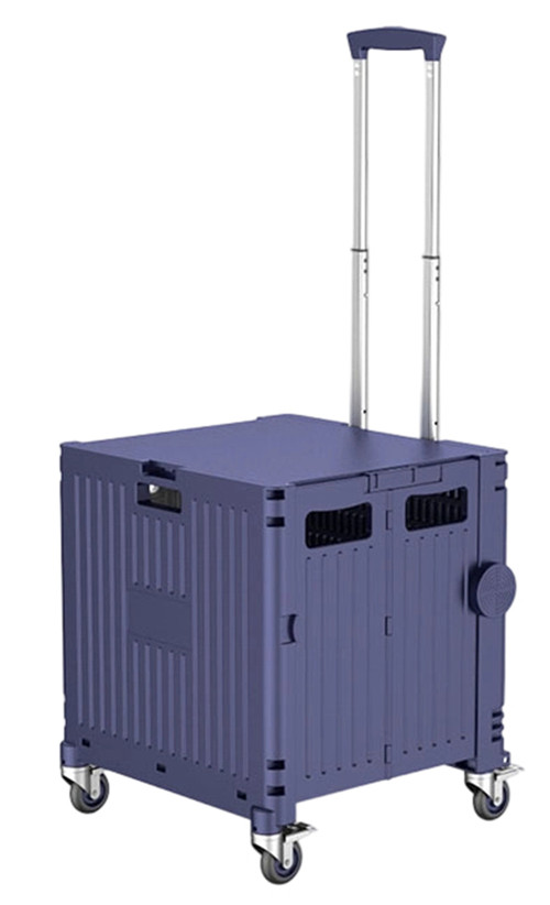 304001736891-galerias el triunfo