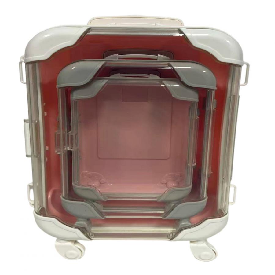 305001736728-galerias el triunfo