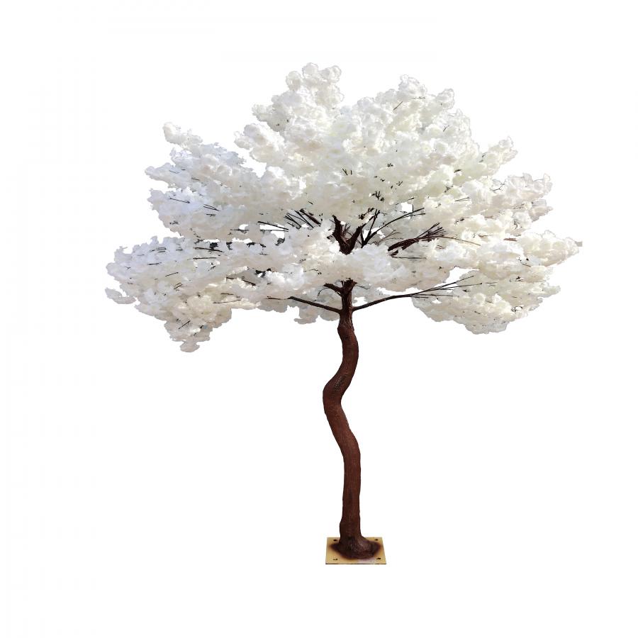 075072096001-galerias el triunfo