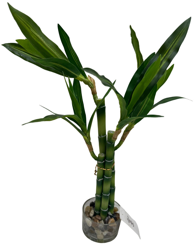 304001736089-galerias el triunfo