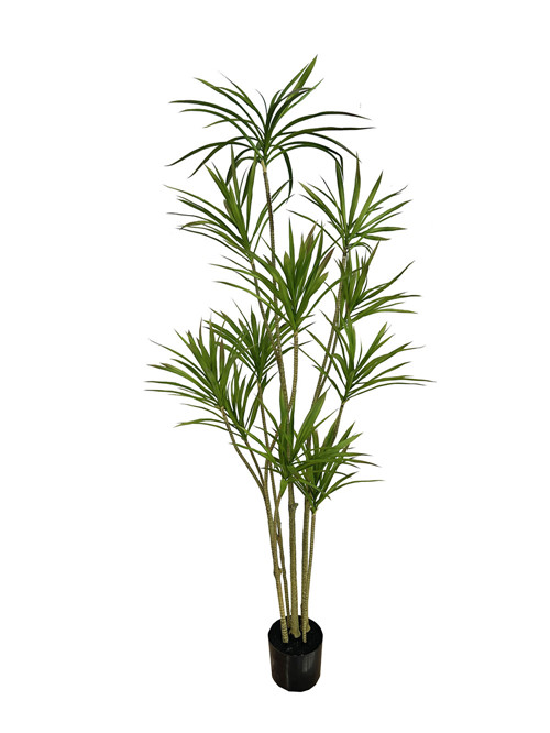 304001736334-galerias el triunfo