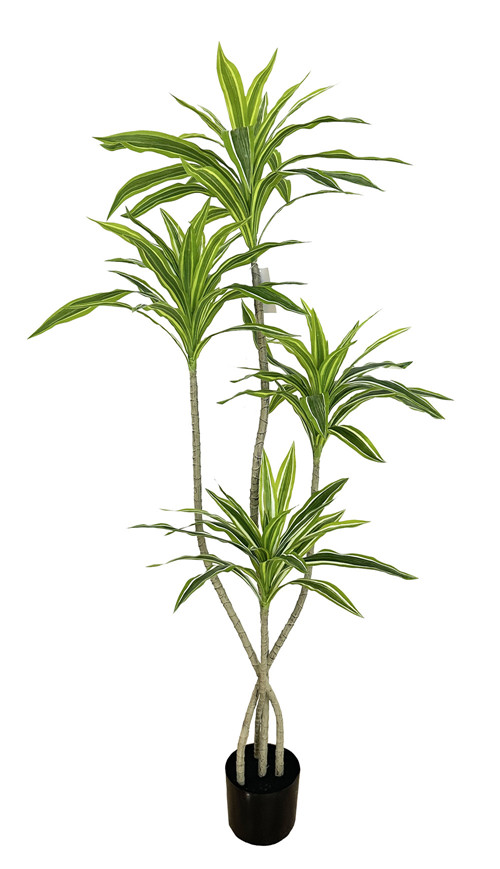 304001736335-galerias el triunfo