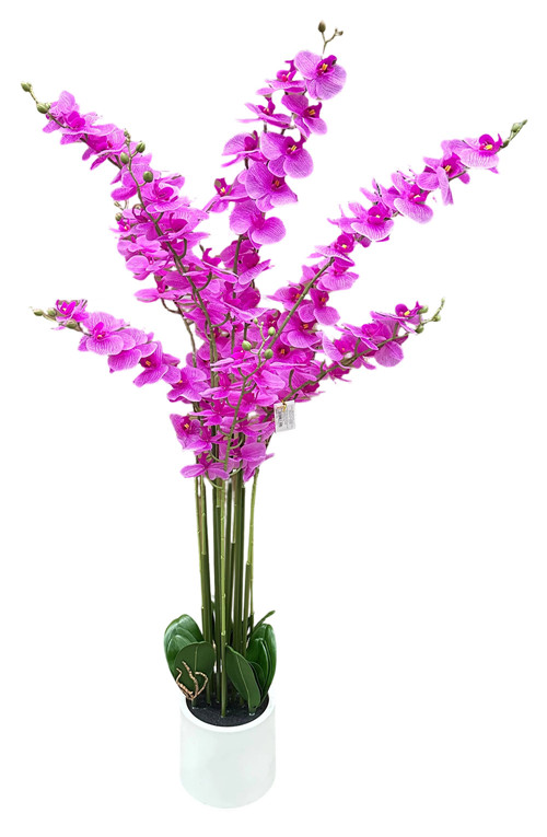 304001736341-galerias el triunfo