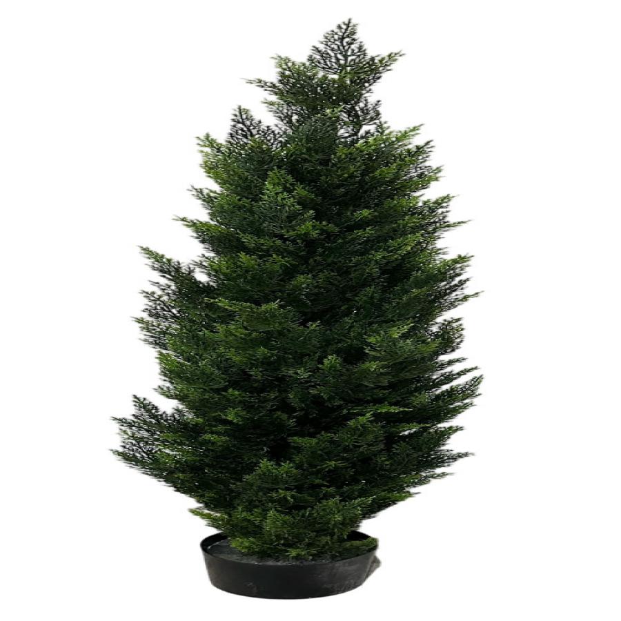 304001736383-galerias el triunfo