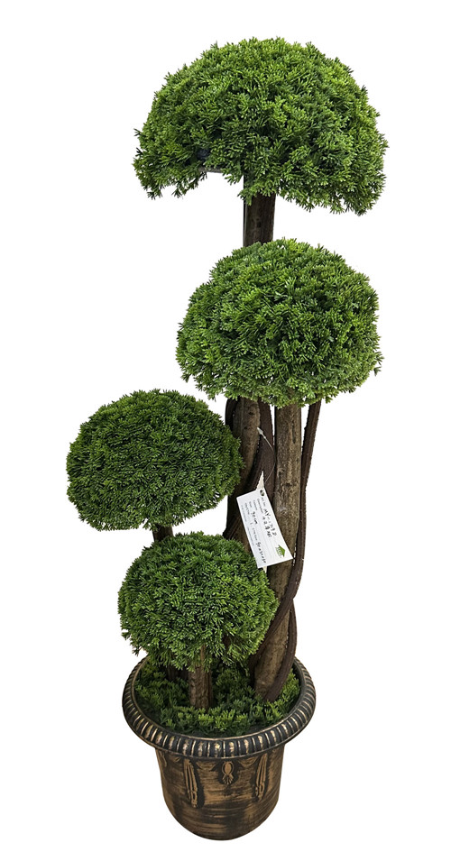 304001736385-galerias el triunfo