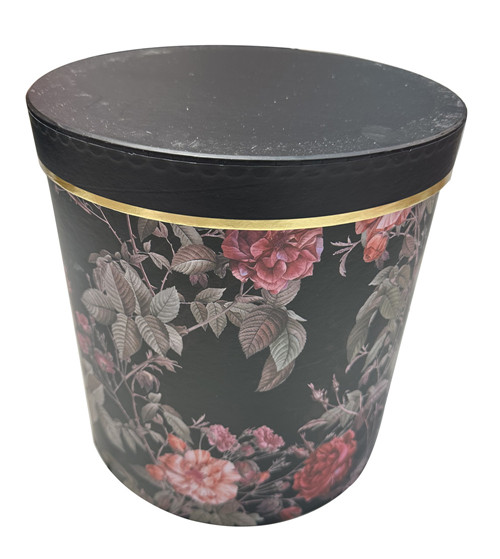 304001736627-galerias el triunfo