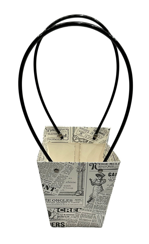 305001736211-galerias el triunfo