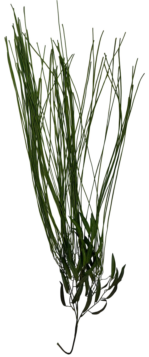 305001736405-galerias el triunfo