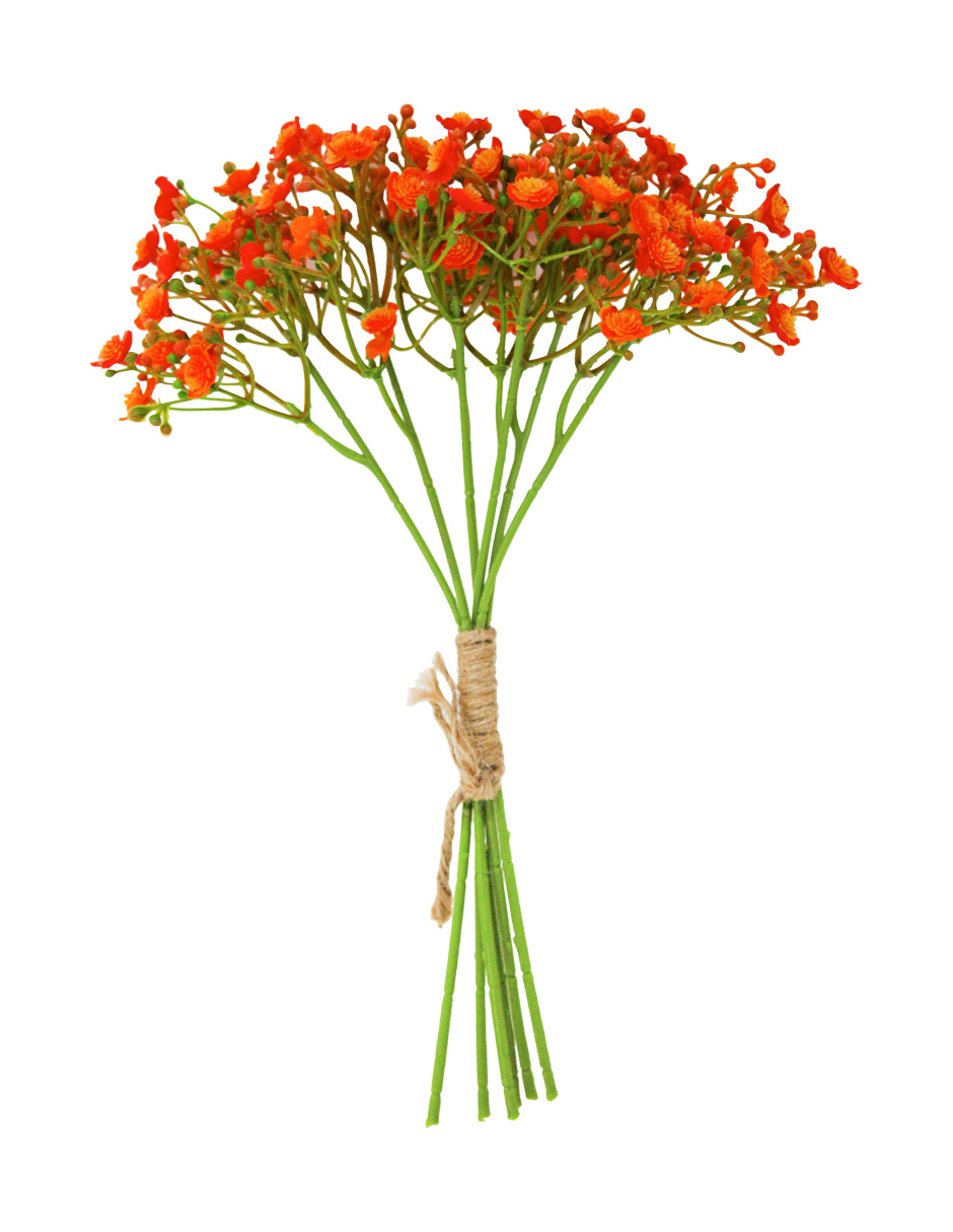 022032811085-galerias el triunfo