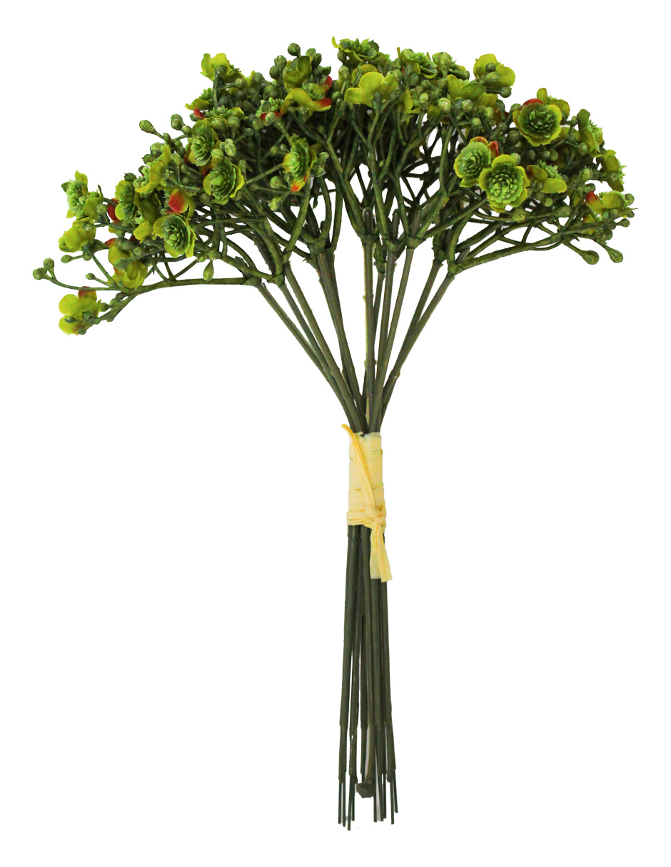 022032811137-galerias el triunfo