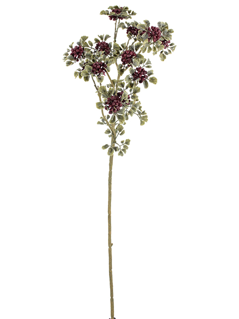 022032811141-galerias el triunfo