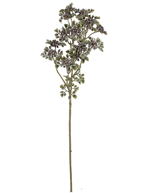 022032811142-galerias el triunfo