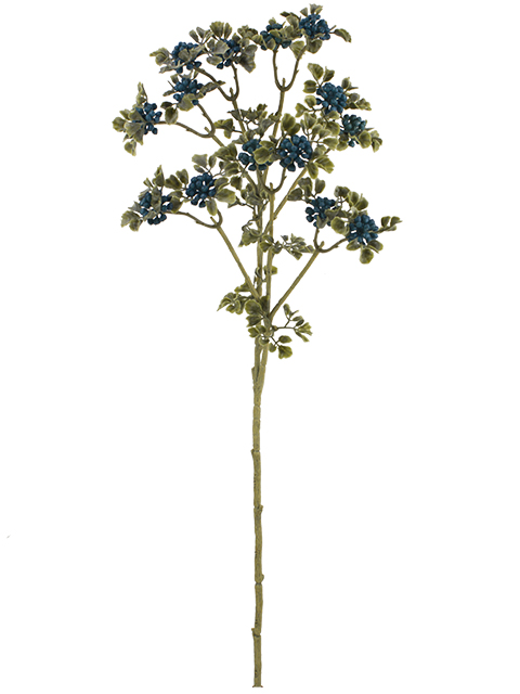 022032811144-galerias el triunfo