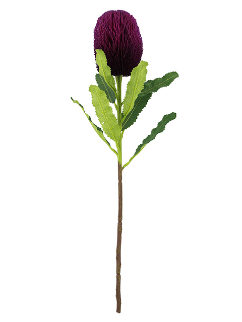 022032811146-galerias el triunfo