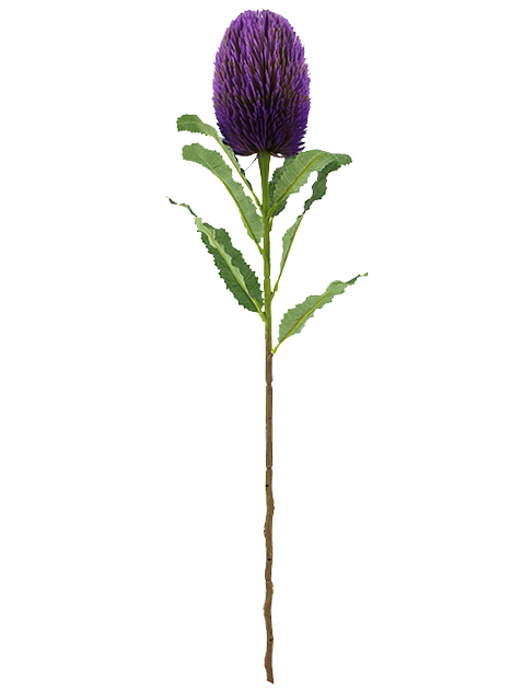 022032811147-galerias el triunfo