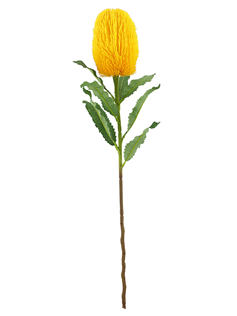 022032811148-galerias el triunfo