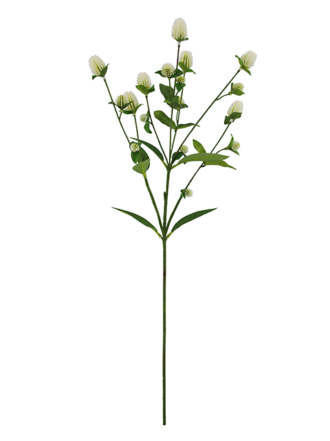 022032811151-galerias el triunfo