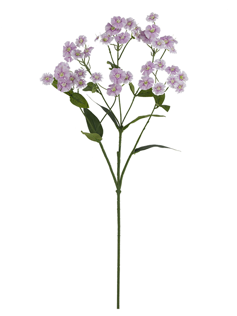 022032811152-galerias el triunfo