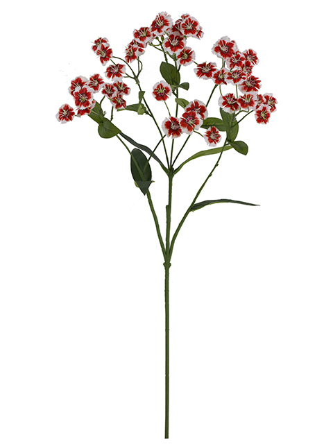 022032811153-galerias el triunfo