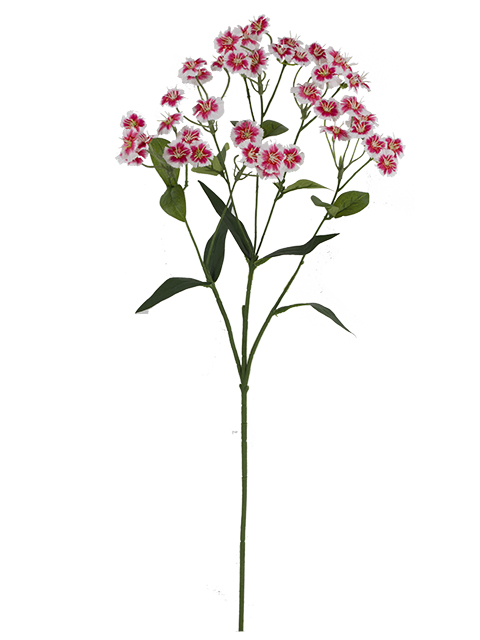 022032811154-galerias el triunfo