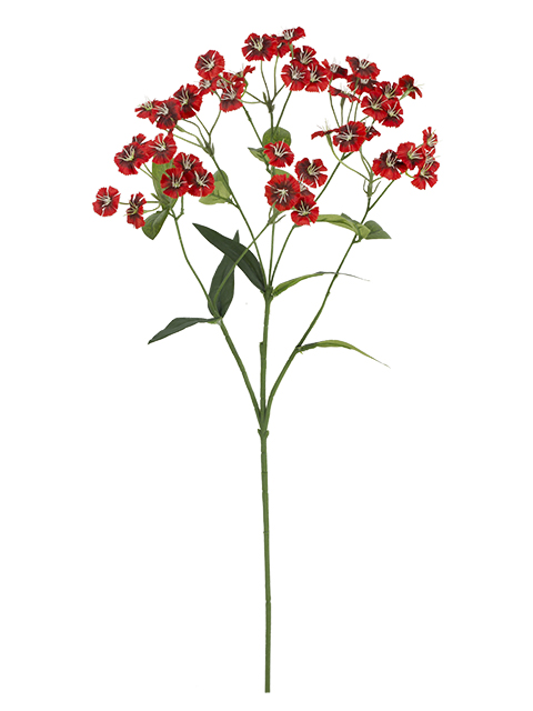 022032811155-galerias el triunfo