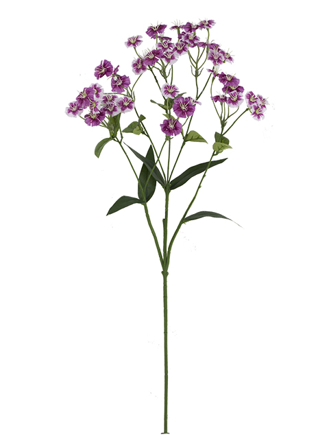 022032811156-galerias el triunfo