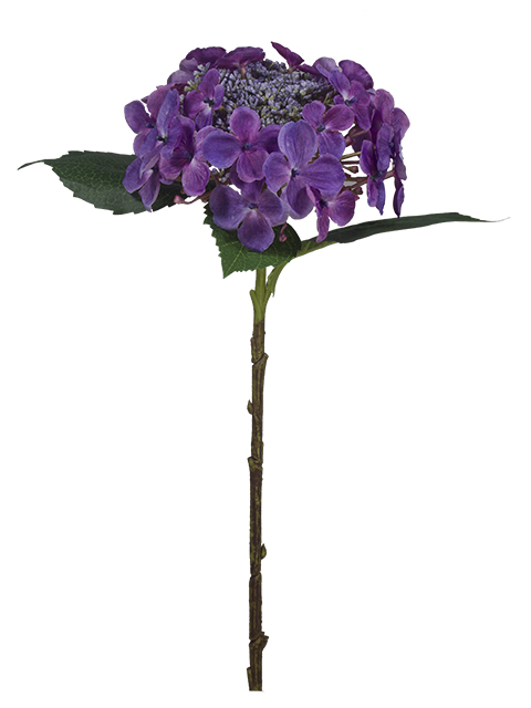 022032811157-galerias el triunfo