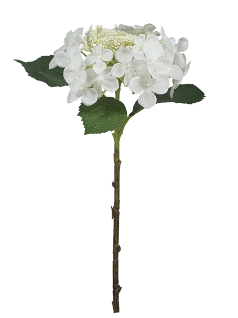 022032811158-galerias el triunfo