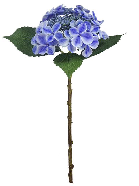 022032811159-galerias el triunfo