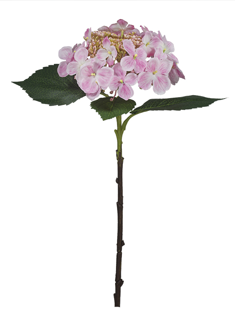 022032811160-galerias el triunfo