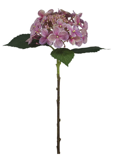 022032811161-galerias el triunfo