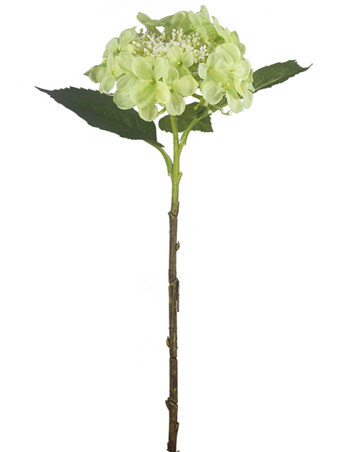 022032811162-galerias el triunfo