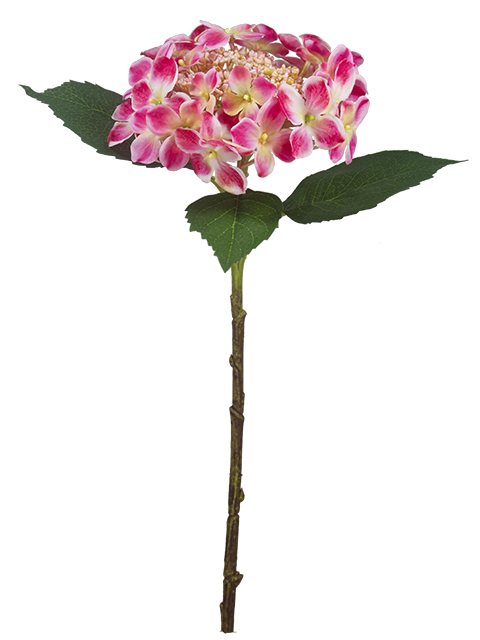 022032811163-galerias el triunfo