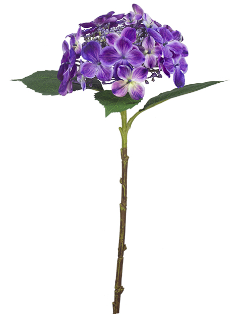 022032811164-galerias el triunfo