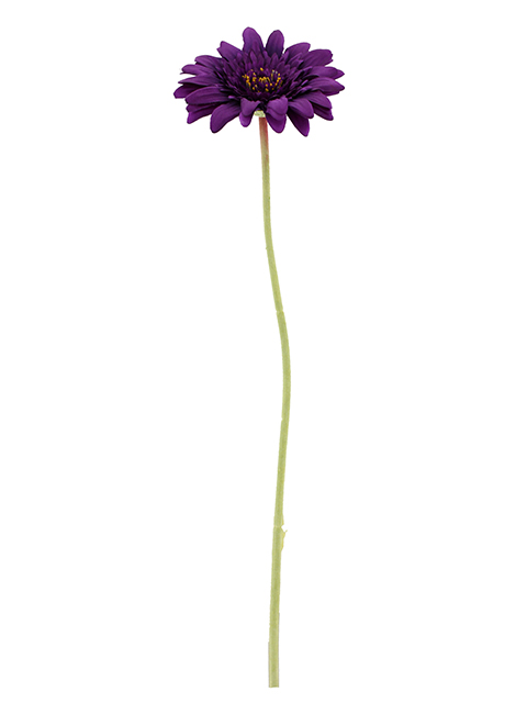 022032811178-galerias el triunfo