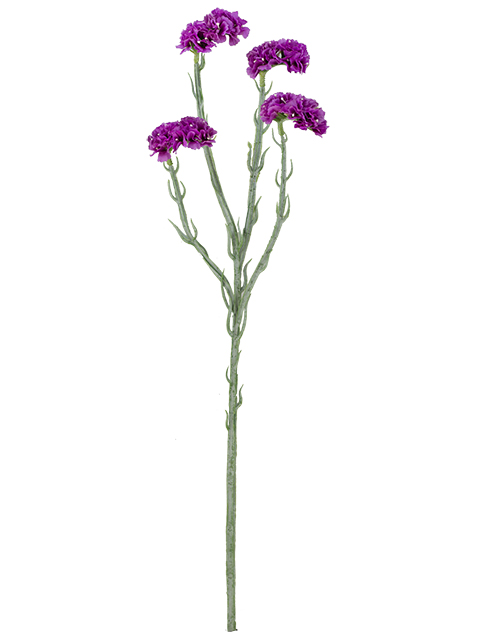 022032811188-galerias el triunfo