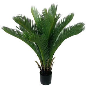 304001736644-galerias el triunfo