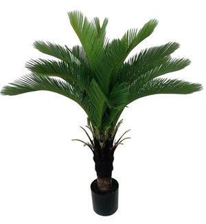 304001736645-galerias el triunfo