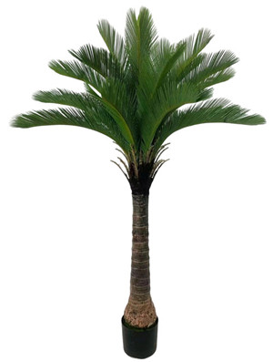 304001736646-galerias el triunfo