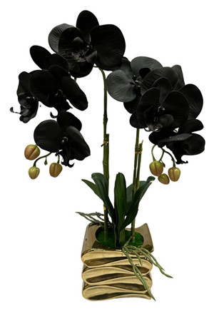 304001736668-galerias el triunfo