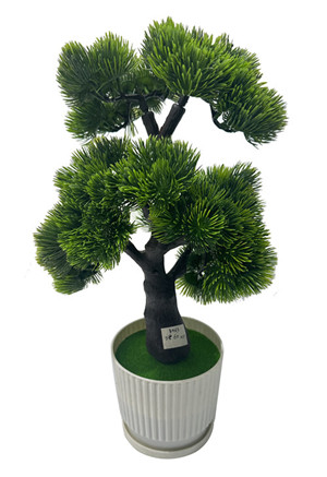 305001736053-galerias el triunfo